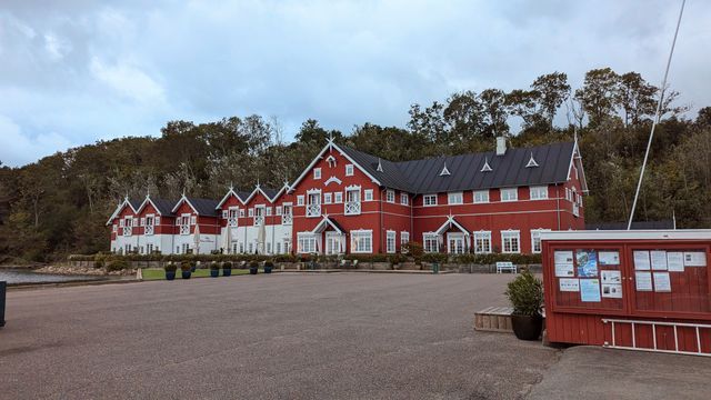 Dyvig