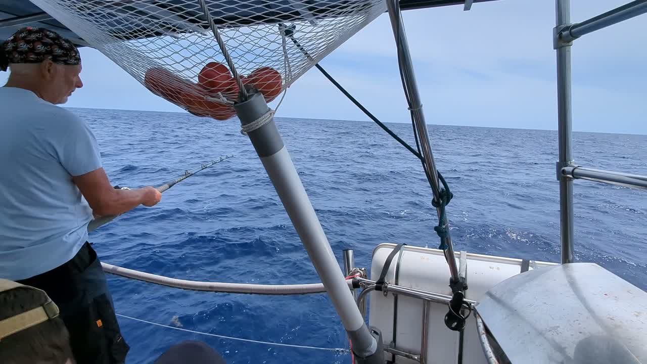 Gelbflossen Tuna