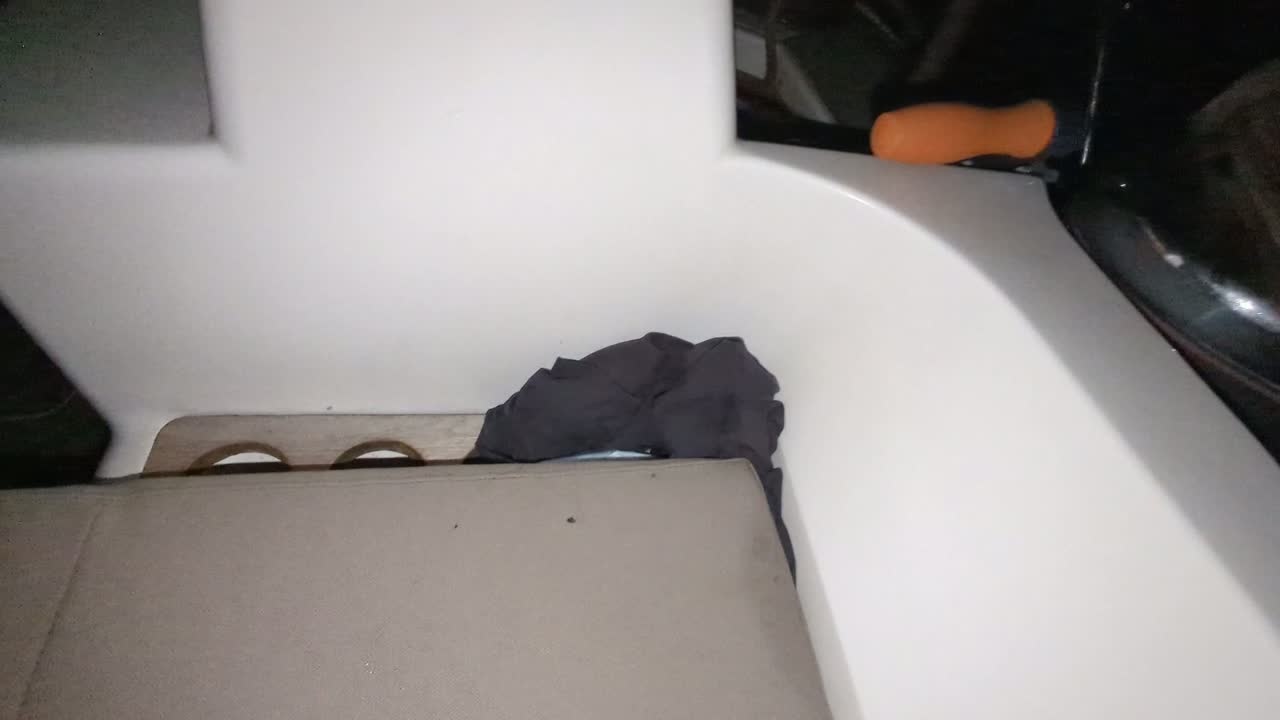 Fliegender Fisch bei Nacht